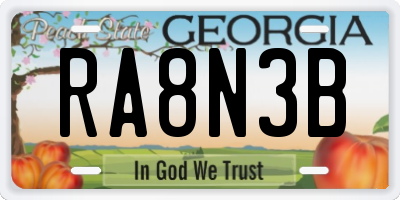 GA license plate RA8N3B