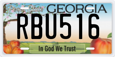 GA license plate RBU516