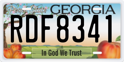 GA license plate RDF8341