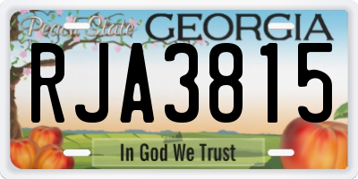 GA license plate RJA3815