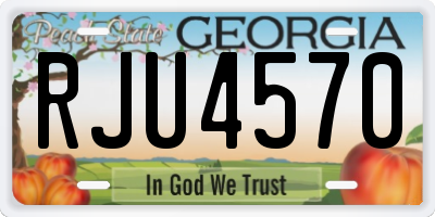GA license plate RJU4570