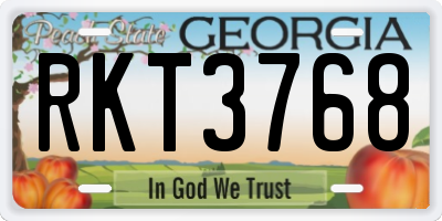 GA license plate RKT3768