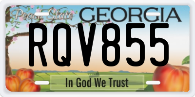 GA license plate RQV855