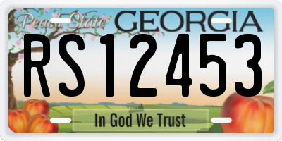 GA license plate RS12453