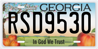 GA license plate RSD9530