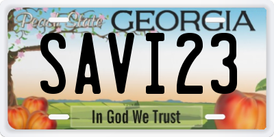 GA license plate SAVI23