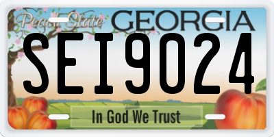 GA license plate SEI9024