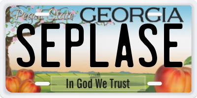 GA license plate SEPLASE