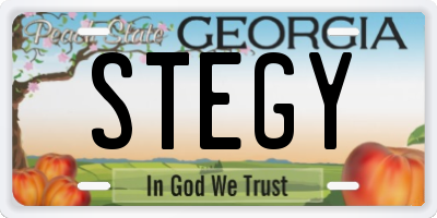 GA license plate STEGY