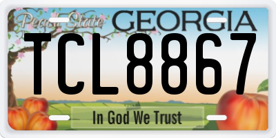 GA license plate TCL8867