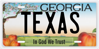 GA license plate TEXAS