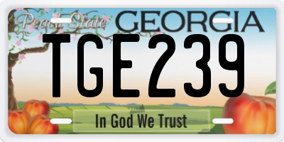GA license plate TGE239