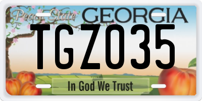 GA license plate TGZ035