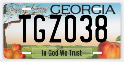 GA license plate TGZ038