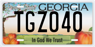 GA license plate TGZ040