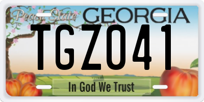 GA license plate TGZ041