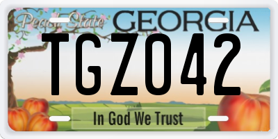 GA license plate TGZ042