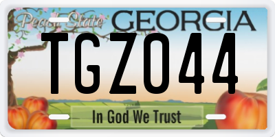 GA license plate TGZ044