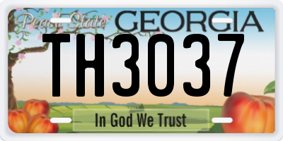 GA license plate TH3037