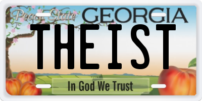 GA license plate THEIST