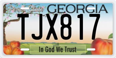 GA license plate TJX817