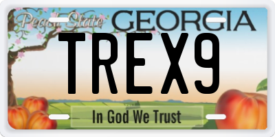 GA license plate TREX9