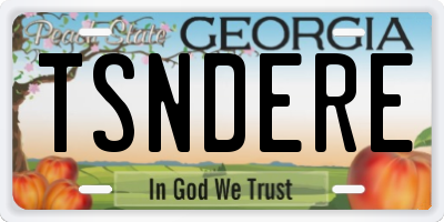 GA license plate TSNDERE