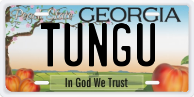 GA license plate TUNGU