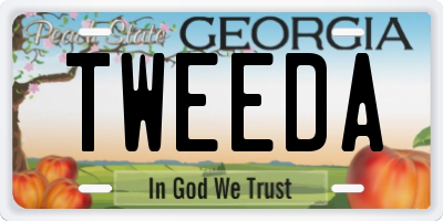 GA license plate TWEEDA