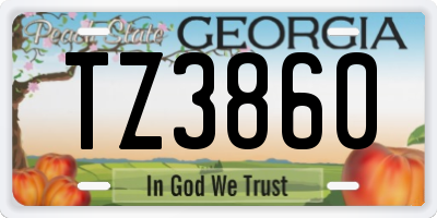 GA license plate TZ3860