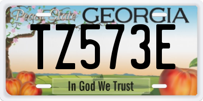 GA license plate TZ573E