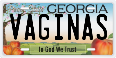 GA license plate VAGINAS