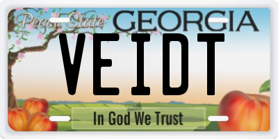 GA license plate VEIDT