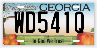 GA license plate WD541Q