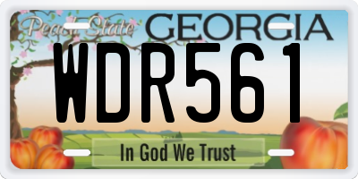 GA license plate WDR561