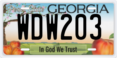 GA license plate WDW203