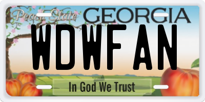 GA license plate WDWFAN