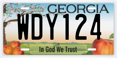 GA license plate WDY124
