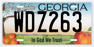 GA license plate WDZ263