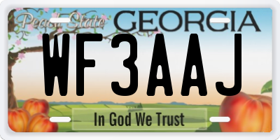 GA license plate WF3AAJ