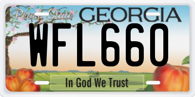 GA license plate WFL660