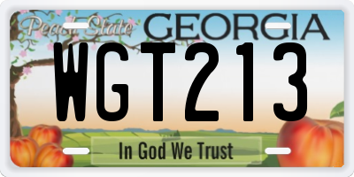 GA license plate WGT213