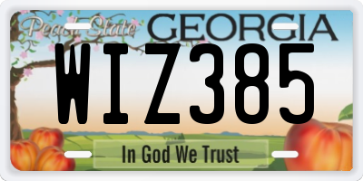 GA license plate WIZ385