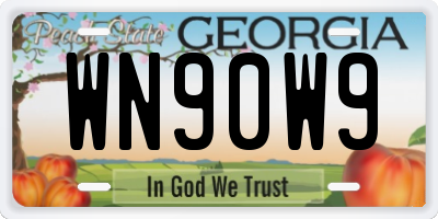 GA license plate WN90W9