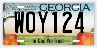 GA license plate WOY124