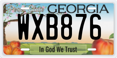 GA license plate WXB876