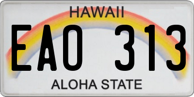 HI license plate EAO313