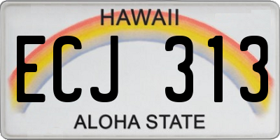 HI license plate ECJ313