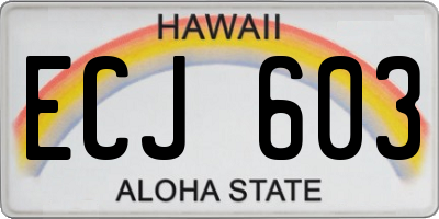 HI license plate ECJ603