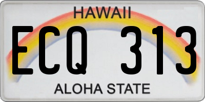 HI license plate ECQ313